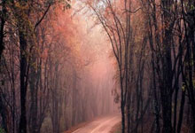 股票賬戶開(kāi)戶條件:股票軟件手機(jī)-券商秋季策略會(huì)密集發(fā)聲 A股市場(chǎng)整體趨勢(shì)向好 景氣成長(zhǎng)類資產(chǎn)仍是市場(chǎng)主線